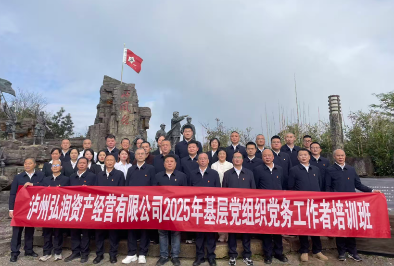 泸州弘润资产经营有限公司2025年基层党组织党务工作者培训班