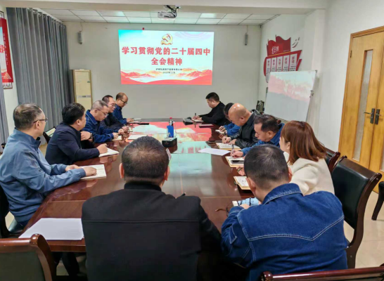 弘润公司党委传达学习党的二十届四中全会精神